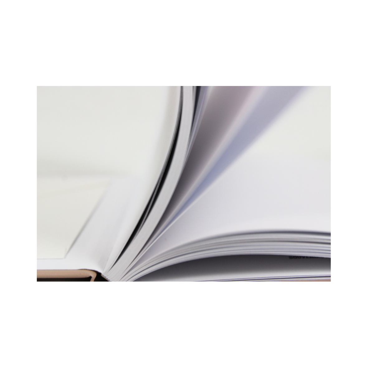 Livre de naissance "Celeste"